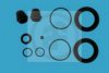 AUTOFREN SEINSA D4354 Repair Kit, brake caliper